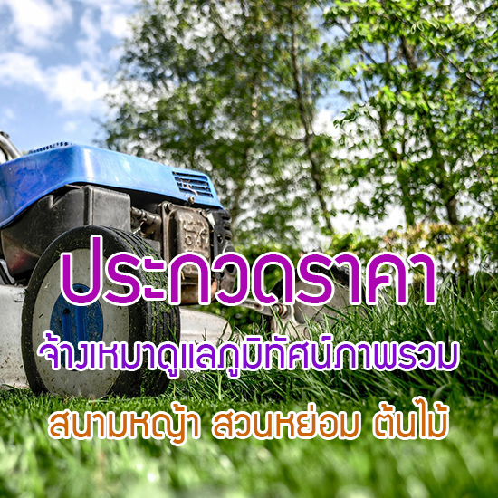 ประกวดราคา จ้างเหมาดูแลสนามหญ้า สวนหย่อมและภูมิทัศน์