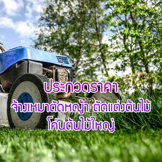 ประกวดราคาจ้างเหมาตัดหญ้า ตัดแต่งไม้พุ่ม และโค่นต้นไม้ใหญ่ (รอบสาม)